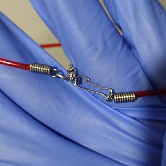 Leo (Lion) July 23–August 22 Red Zodiac Pendant Rubber Cord Necklace - Picture 6 of 6